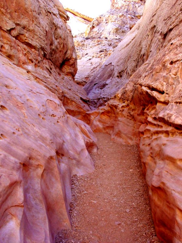 04160302LittleWildHorse (1091)